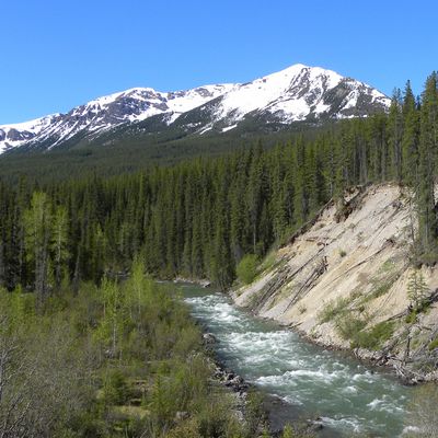 La route du lac Maligne - P.N.de Jasper