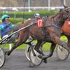 les meilleures cotes pour ce quinté de dimanche à vincennes