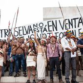 Desafíos ambientales de Ecuador en el 2024: la incertidumbre de la crisis política y la lucha contra las economías ilegales