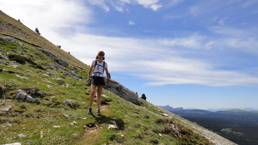 Sur les Hauts Plateaux