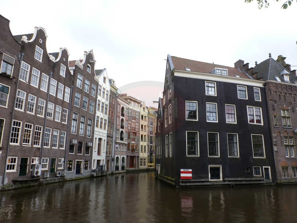 Amsterdam, capitale des Pays-Bas, est peuplée par 840 486 habitants. Son nom vient de Amstelredamme évoquant les origines de la ville : Dam (la digue) sur l'Amstel. Ancien petit village de pêcheurs au XIIe siècle, la ville connaît une très forte croissance au Moyen Âge jusqu'à devenir l'un des principaux ports du monde durant le Siècle d'or néerlandais.