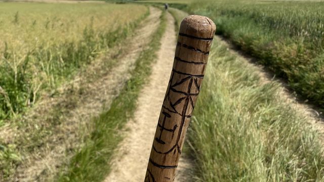 Je ne vous ai pas oubliés reprenons notre Chemin !
