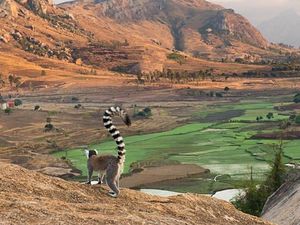 Madagascar , mon rêve  