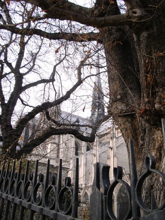 Paris en novembre