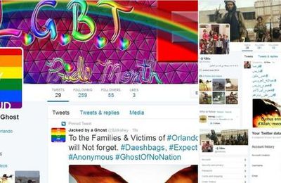 Un hacker met les comptes Twitter de Daech aux couleurs pro-gay