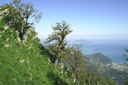 Aokas-Bejaia