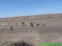Ethiopie 2 - du désert du Danakil au parc Awash