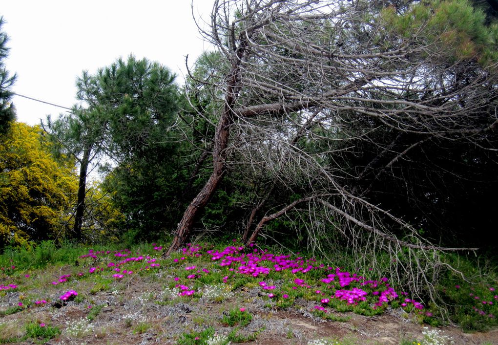 de Cagliari à Iglesias