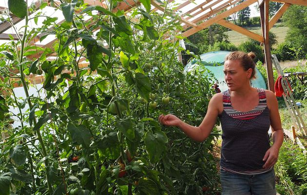 La maraîchère bio, Delphine Barbaux, prépare ses paniers de légumes