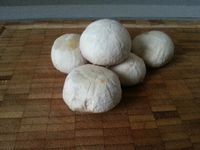 1 - Une fois tous vos ingrédients réunis, préchauffer votre four th 6 (180°), mettre les pommes de terre à cuire dans une casserole pendant environ 20 mn (selon leur taille). Faire également cuire les oeufs dans une casserole d'eau. Pendant ce temps, bien nettoyer (ou peler) les champignons et les découper en fines lamelles. Peler les échalotes et les émincer. Dans une poêle faire revenir échalotes et champignons avec du beurre pendant 8 mn. Parsemer de thym, saler, poivrer et réserver