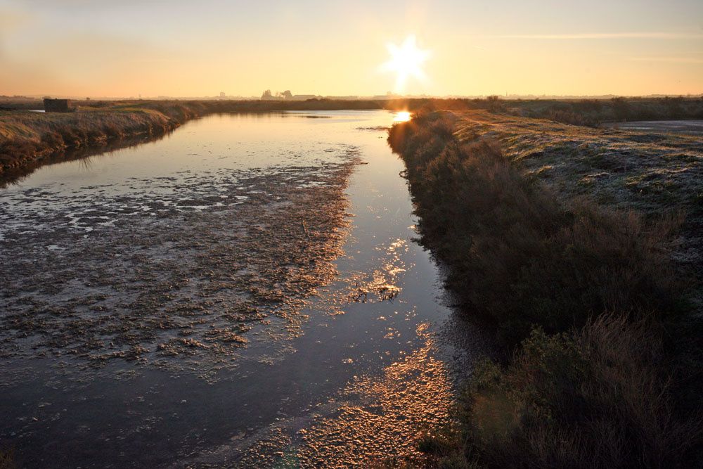 Images des marais salants de Gu&eacute;rande&nbsp;au lever du soleil