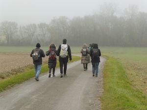 Promenade n° 18 de Décembre 2017 &quot; Les sentiers de la Seudre&quot;