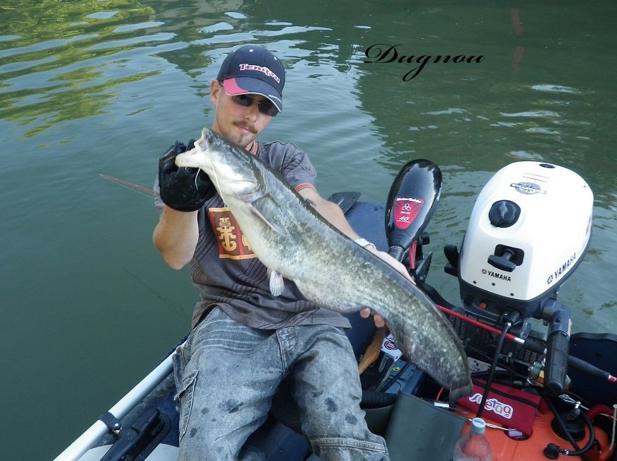 2012 est déja commencer et les fish ne tardent pas à montrer leurs nageoires