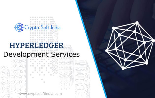  HyperLedger Development Company-cryptosoftindia