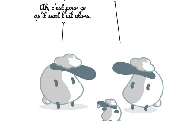 Moutons par Vincent