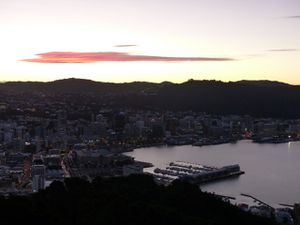 From Wellington to Auckland : The beauties of the North Island !