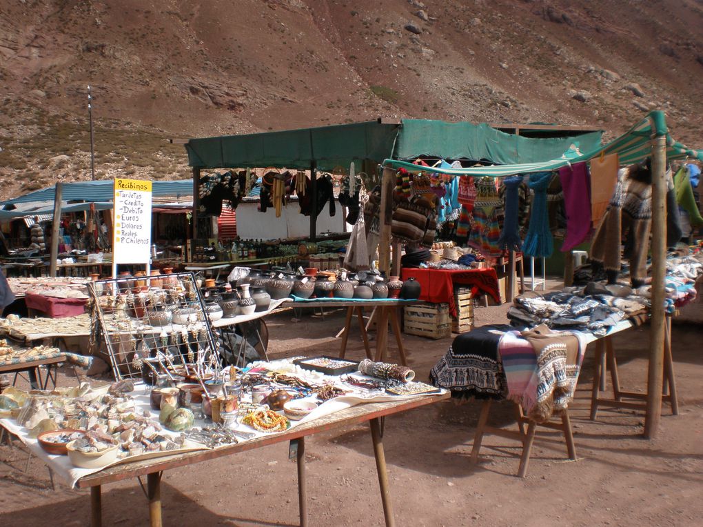 La Cordillère des Andes, et ses trésors de nature aux imposants paysages minéraux : l'Aconcagua, l'un des plus hauts sommets du monde, et les sites préhistoriques d'Ischigualasto et Talampaya, déserts de roches inscrits au patrimoine mondial de