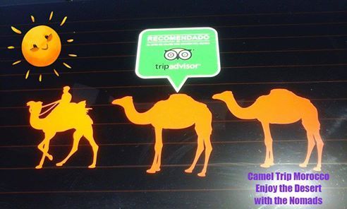 Camel Trip Morocco Private Tours In Morocco And Desert Night In Camp And Camel Trekking In Erg Chebbi Merzouga Https Www Cameltripmorocco Com