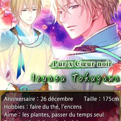 Romance avec un Samuraï : Ieyasu Tokugawa