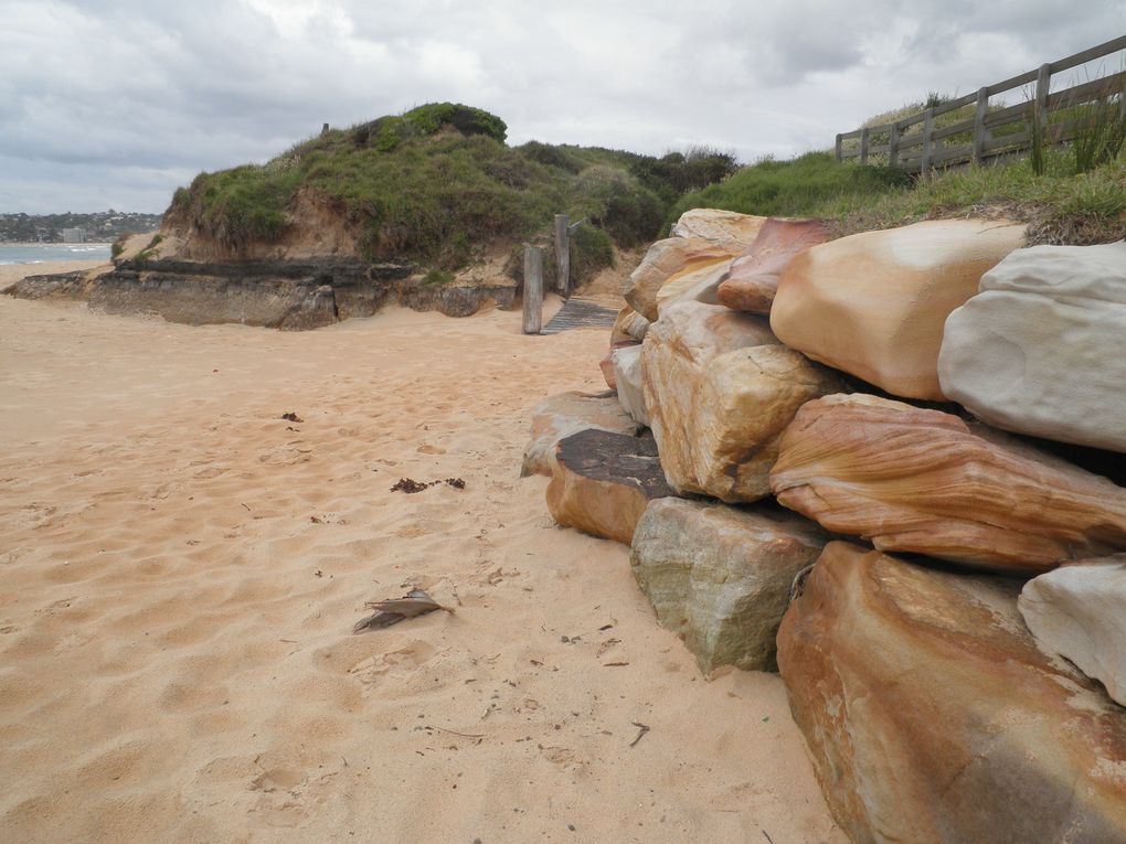 Album - SYD---LONG-REEF-BEACH