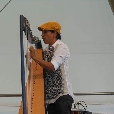 edmar castaneda, un harpiste colombien virtuose aux leçons magistrales de virtuosité et musicalité