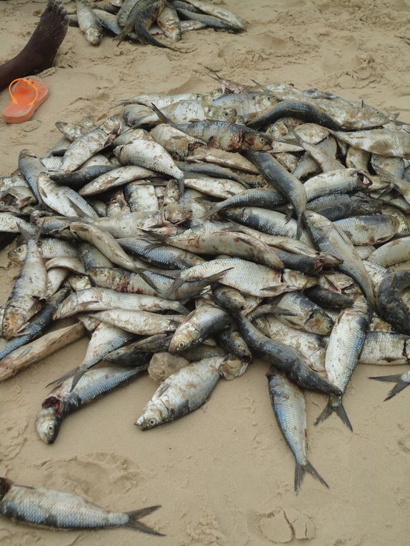 Un peuple de pêcheurs à Lompoul-sur-mer