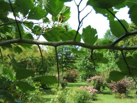 Quand le potager nous invite au spectacle ...