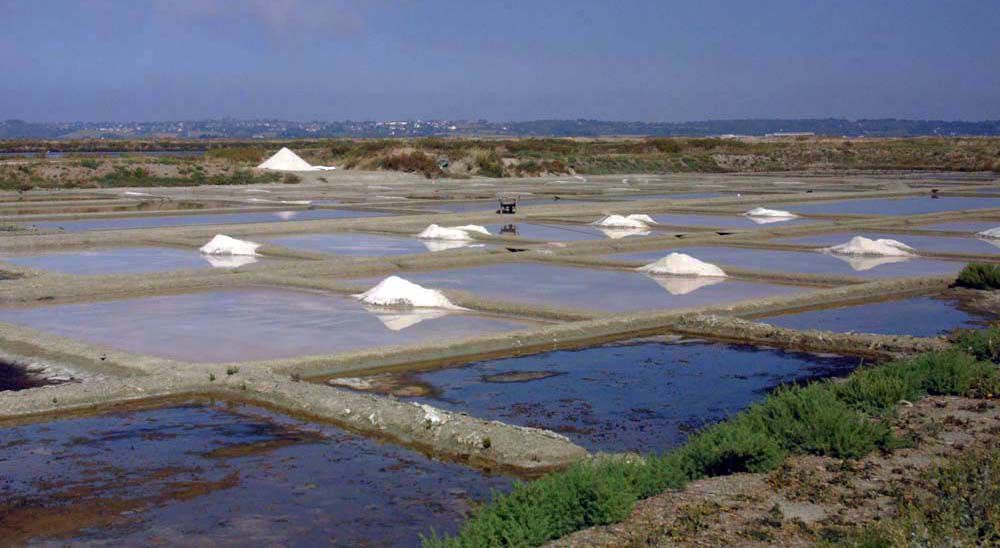 Album - Les Marais-salants de Guerande