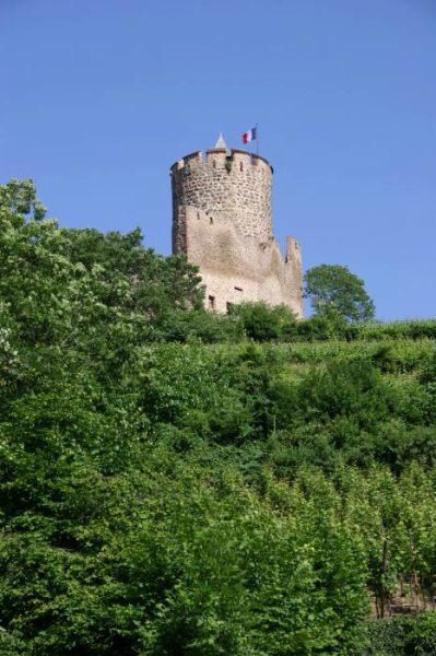 Quelques photos prises en Alsace, lieu de ma r&eacute;sidence.