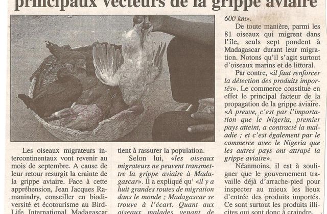 Les oiseaux migrateurs ne sont pas les principaux vecteurs de la grippe aviaire - Les Nouvelles, 25 juillet 2006