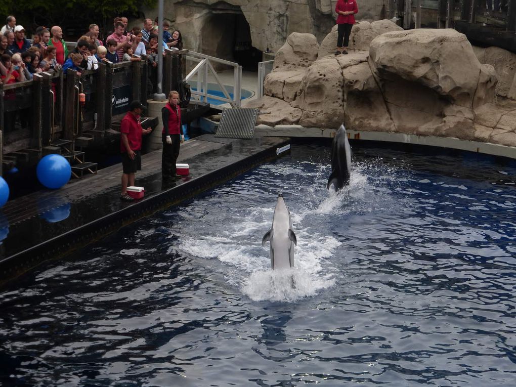 Vancouver Aquarium