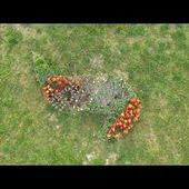 Le Jardin Vagabon: Projet Land'art