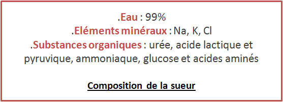 Composition de la sueur