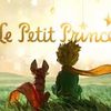 Un "Petit Prince" ou une "Petite Fille" ? ( N° 1255 )