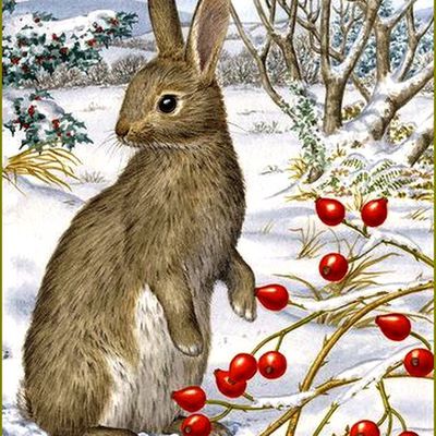 lapins, lièvres en peinture et illustrations