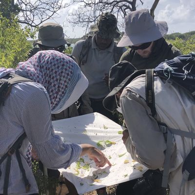 Chasse aux trésors à Petite Terre