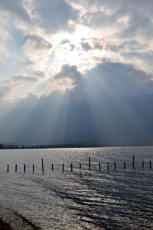 Album - Lac-du-Bourget