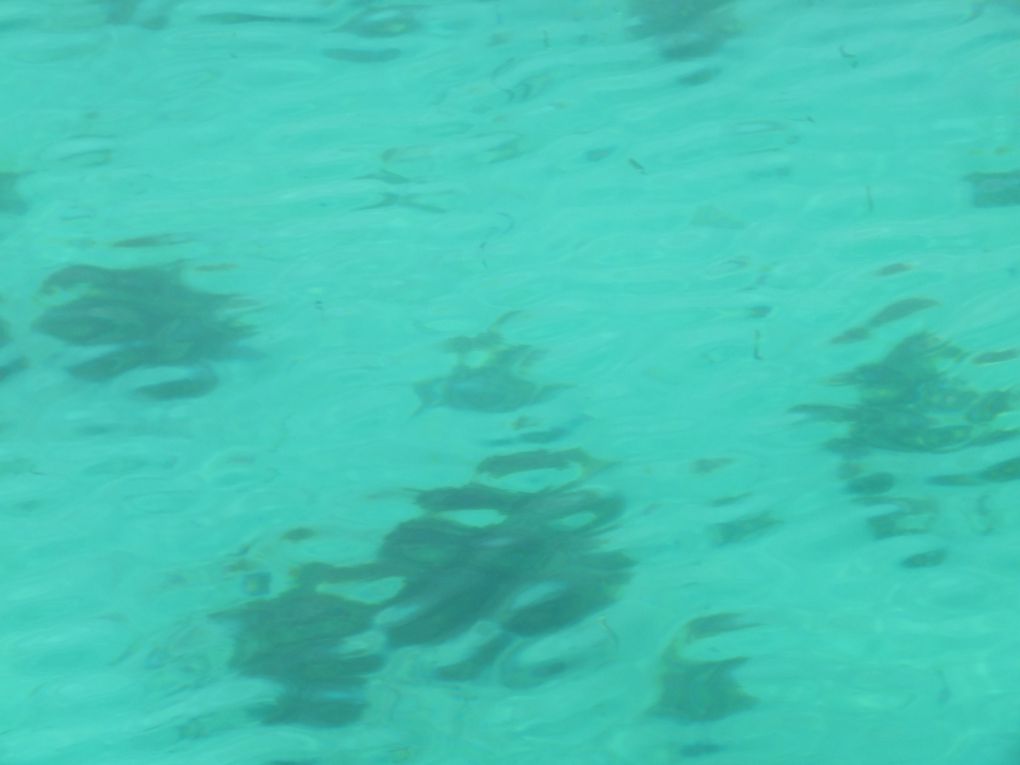 journée de repos sur l'île de Moucha!!! une eau turquoise de pure beautée!