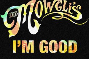 The Mowgli's - I'm Good 