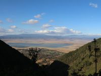 Cratère du Ngorongoro - secteur Lerai