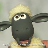 Shaun le mouton : quand la pâte à modeler s'anime - Le Journal du week-end | TF1