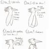 Apprendre à dessiner un pingouin, pourquoi pas?