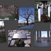 Arlington cemetery