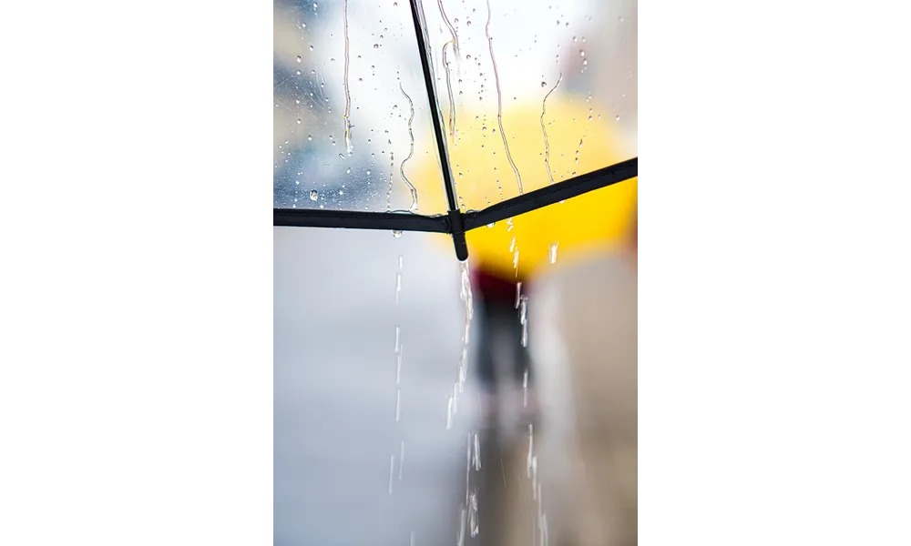 La récupération d'eau de pluie