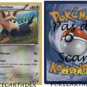 SERIE/XY/XY/101-110/109/146 - pokecartadex.over-blog.com