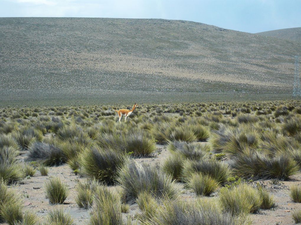 Album - arequipa