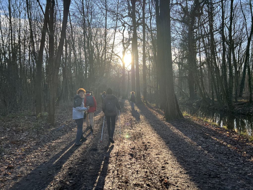 Marche nordique au bois de Vincennes - 8,5 km.