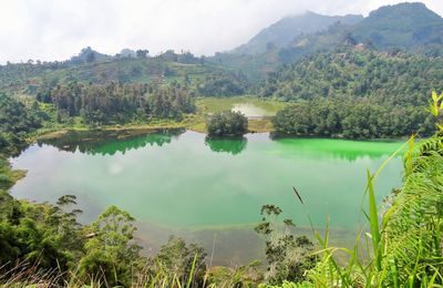 Après-midi bucolique à Dieng Plateau :-)