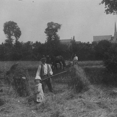 Meilleurs voeux pour 2013