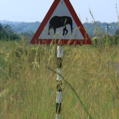 South Africa, part 5: Safari party